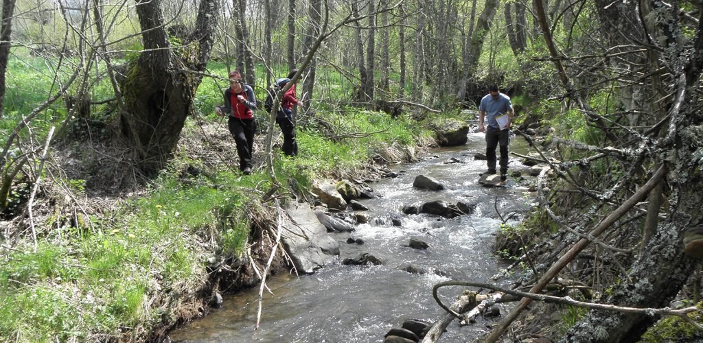 red-ambiente-cuidado-medioambiental