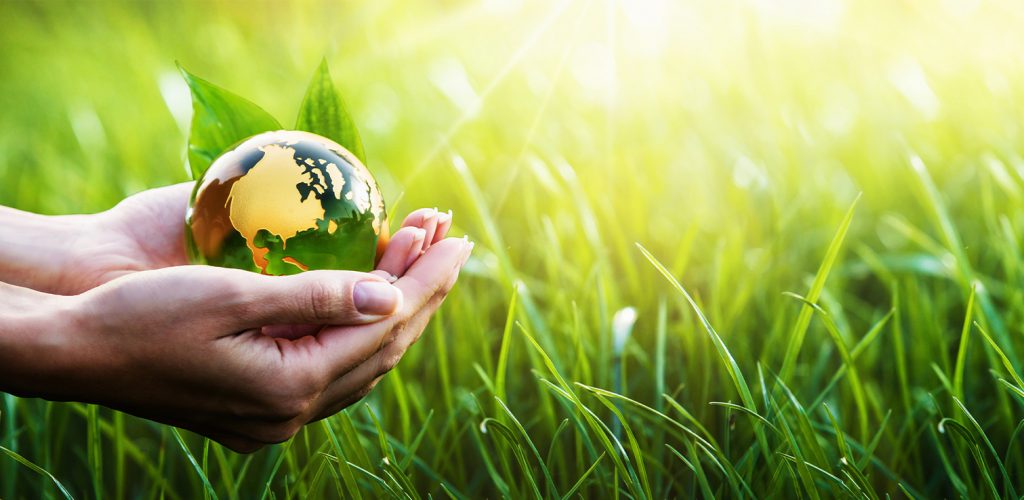 Política Ambiental Red Ambiente